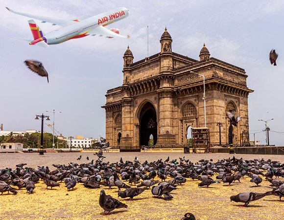 Best Airlines for USA to India Flights: Comfort, Price & Baggage Compared